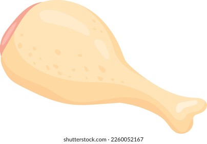 Raw chicken leg. Uncooked fresh bird meat isolated on white background
