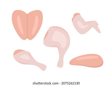 Raw chicken meat set, broiler chick pieces. Chicken leg, wing, leg, breast, drumstick, fillet. Cooking food. Vector cartoon illustration