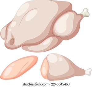 Raw chicken meat vector illustration