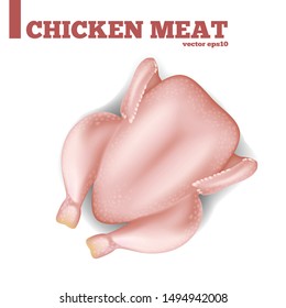 Raw chicken on white background. Vector clipart for your design
