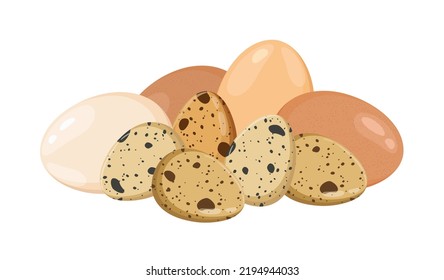 Raw chicken and quail eggs, vector illustration isolated on white background