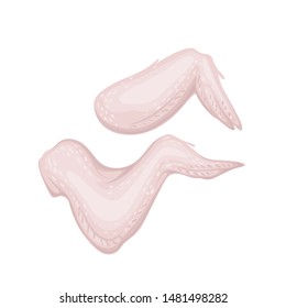 Raw chicken wing, fresh meat concept vector Illustration. Isolated on a white background