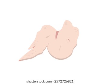 raw chicken wing on a white background,