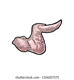 Raw chicken wing. Vintage color engraving illustration for poster, web. Isolated on white background.