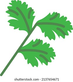Raw Coriander with leaves Concept, fresh culantro vector color icon design, Condiments and Spices symbol, Food cooking ingredients Sign, Herbs and table sauce stock illustration