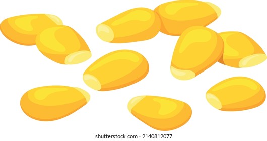 Raw corn grains. Realistic yellow maize seeds isolated on white background