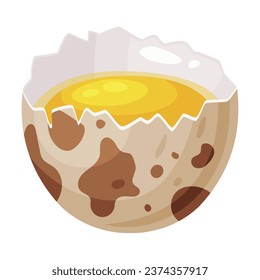 Raw Cracked Quail Egg with Shell and Yellow Yolk Vector Illustration