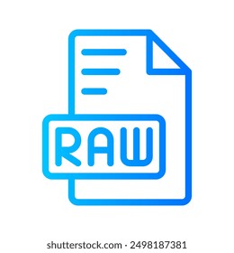 Raw Document file picture gradient icon. format file type icons symbol, Extension, type data, vector illustration.