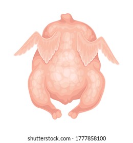 Pollo vestido crudo aislado en vectores de fondo blanco Ilustración