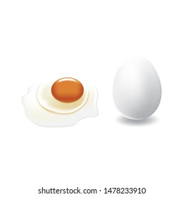 Raw egg with big yolk and white duck eggshell. Isolated on white background with shadow. Ready to use for your design or business. Vector illustration.