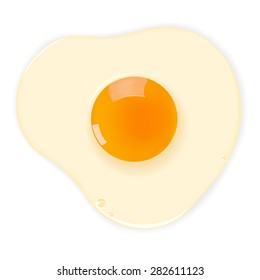 Raw egg on a white background. Eps 10.