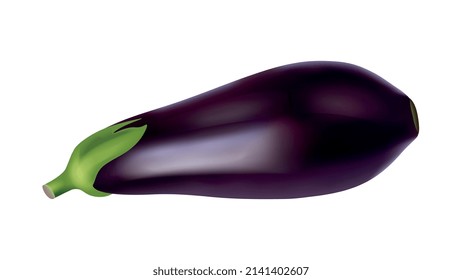 Rohe Aubergine mit grünem Blatt auf weißem Hintergrund, realistische Vektorgrafik