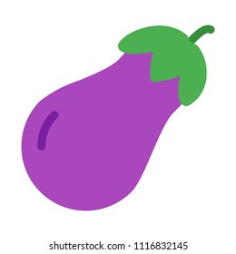 Raw Eggplant Vegetable