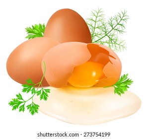 Raw eggs and  broken egg with herbs. Vector illustration 
