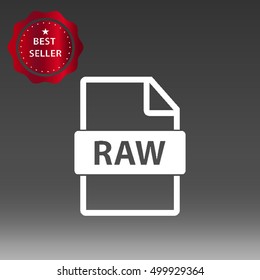 RAW File Type Vector Icon Illustration