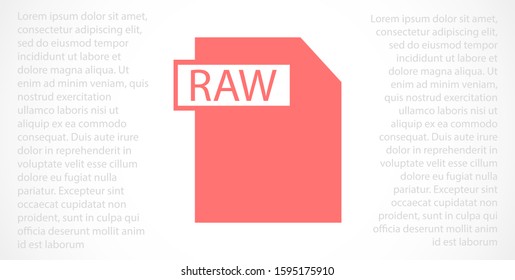 RAW file vector icon 10 eps icon. File for computer icon. file for phone icon. file to download