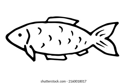 Raw fish hand drawn outline doodle icon. Vector sketch illustration of healthy seafood - fish under water for print, web, mobile and infographics isolated on white background.