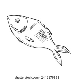 Raw fish hand drawn outline doodle icon. Vector sketch illustration of healthy seafood