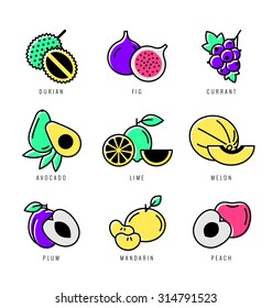 Raw food. Fresh fruit icon set.