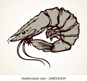 Raw fresh big red tiger leg on light paper text space. Outline black ink hand drawn tasty marine delicacy steam lunch life menu logo emblem design. Art doodle retro engrave print style. Close up view