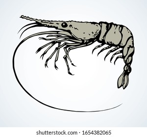 Raw fresh big red tiger leg on light paper text space. Outline black ink hand drawn tasty marine delicacy steam lunch life menu logo emblem design. Art doodle retro engrave print style. Close up view