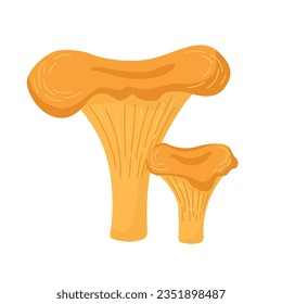 Raw fresh chanterelle mushrooms on white background. Cartoon vector illustration