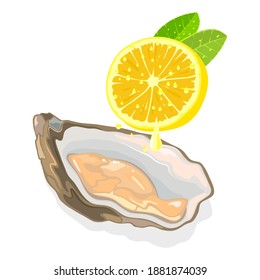 Raw fresh clam in shell with half of lemon, seafood, squeeze lemon drops on oyster. Vector nutritious and vegetarian and luxury food, appetizer design isolated on white background
