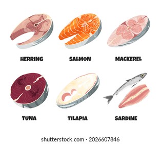 Raw fresh fish steak collection isolated on white. Realistic trout, herring, sardine, mackerel, tuna, tilapia fillet, seafood product with omega, design element set. Vector cartoon flat illustration
