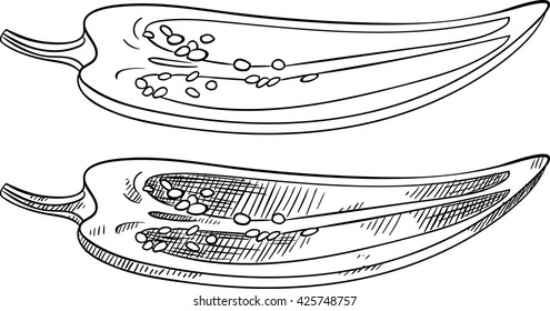 Raw fresh sliced chili pepper with seeds. Isolated set