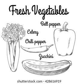 Raw fresh vegetables. Celery, chili pepper, bell pepper, zucchini. Isolated set