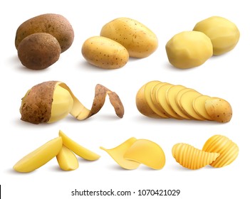 Raw and fried potato set of crude treated chopped and chips on white background realistic vector illustration 