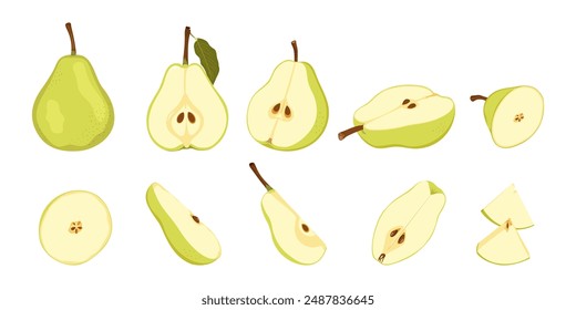 Raw green pear fruit from different angles. Ripe whole, half, quarter and slice pear. Simple hand drawn vector isolated on white background.