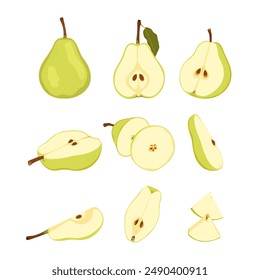 Raw green pear fruit. Ripe whole, half, quarter and slice pear. Simple hand drawn vector isolated on white background.