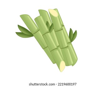 Raw green sugar canes vector illustration isolated on white background