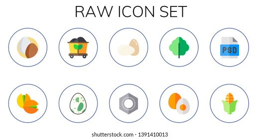raw icon set. 10 flat raw icons.  Collection Of - eggs, pistachio, coal, egg, nut, lettuce, boiled egg, psd, corn