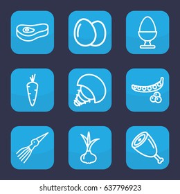 Raw icon. set of 9 outline raw icons such as egg, onion, carrot, peas, meat
