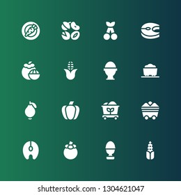 raw icon set. Collection of 16 filled raw icons included Corn, Boiled egg, Mangosteen, Salmon, Coal, Paprika, Guava, Cherry, Nuts, Carrot