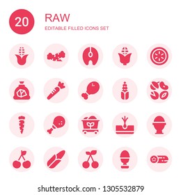 raw icon set. Collection of 20 filled raw icons included Corn, Carrot, Salmon, Cucumber, Coal, Chicken leg, Nuts, Tuber, Boiled egg, Cherry