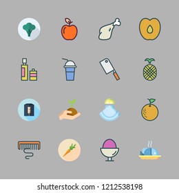 raw icon set. vector set about pineapple, butcher, sprout and broccoli icons set.