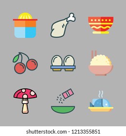 raw icon set. vector set about meat, eggs, squeezer and cherry icons set.