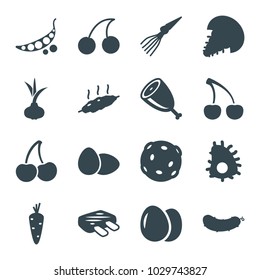Raw icons. set of 16 editable filled raw icons such as egg, onion, carrot, cherry, meat, extinct sea creature, cherry, peas