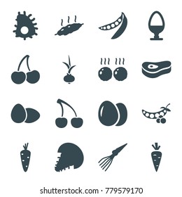 Raw icons. set of 16 editable filled raw icons such as egg, carrot, peas, meat, extinct sea creature, onion, cherry