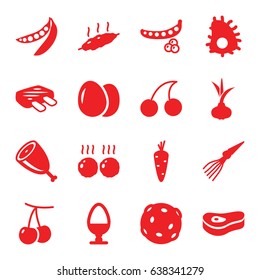 Raw icons set. set of 16 raw filled icons such as egg, onion, carrot, cherry, peas, cherry, meat
