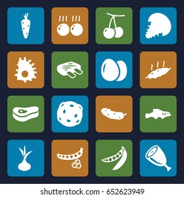 Raw icons set. set of 16 raw filled icons such as egg, onion, carrot, cherry, peas, cucumber, meat, extinct sea creature