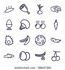 raw icons set. Set of 16 raw outline icons such as egg, onion, carrot, cherry, peas, cucumber, meat, extinct sea creature