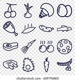 Raw icons set. set of 16 raw outline icons such as egg, onion, carrot, cherry, peas, cucumber, meat, extinct sea creature
