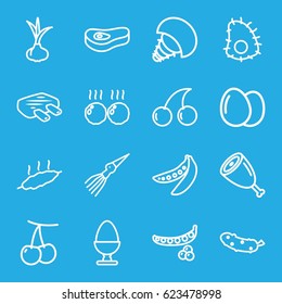 Raw icons set. set of 16 raw outline icons such as egg, onion, cherry, peas, Cherry, cucumber, meat