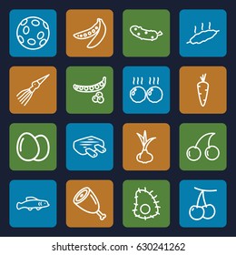 Raw icons set. set of 16 raw outline icons such as egg, onion, carrot, cherry, peas, cherry, cucumber, meat, extinct sea creature