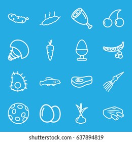 Raw icons set. set of 16 raw outline icons such as egg, onion, carrot, peas, cherry, cucumber, meat, extinct sea creature