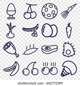 Raw icons set. set of 16 raw outline icons such as egg, onion, carrot, cherry, peas, cherry, meat